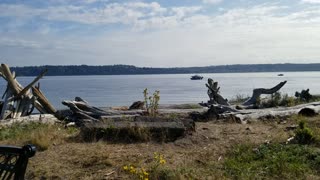 Vashon Island - Fishing boats off the shore of Point Robinson