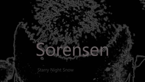 Charles Sorensen - Starry Night Snow