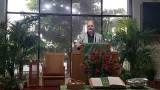 Livestream: Sunday, January 22, 2023 - Royal Palm Presbyterian Church