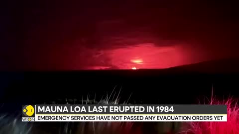 Hawaii s Mauna Loa volcano erupts for the first time in almost 40 years International News WION