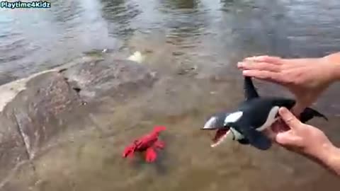 Sea Animal Toys This Summer at the Shore