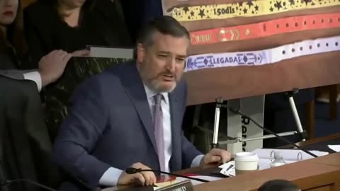 Ted Cruz Forces Alejandro Mayorkas to Look At What He's Done (VIDEO)