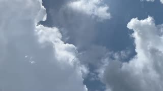 Spotted over Miami Beach today… video from Leland Randleman. What do you think?