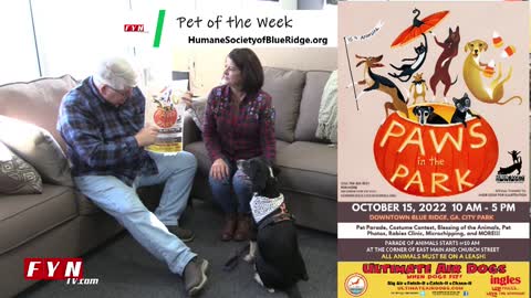 PET OF THE WEEK: Meet Lance - HumaneSocietyofBlueRidge.org