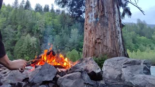 Camping At The River