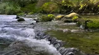 Healing Sounds of Nature - Relaxing River Sounds and Chirping Birds
