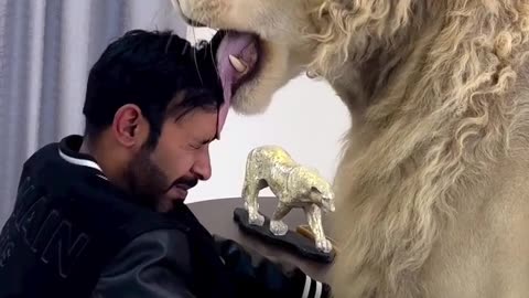 Dubai 🇦🇪 King 👑 Sheik Nawab with White Lion 🦁 white Tiger 🐯 Jeetpuria Janab