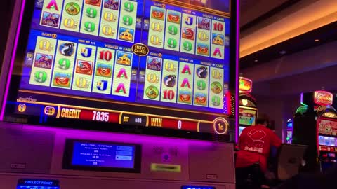 Big Hit on Buffalo in Las Vegas Casino