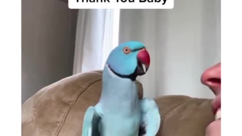 Cute parrot speaks for the first time 🥰
