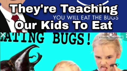 They're Teaching Our Kids To Eat Ze Bugs