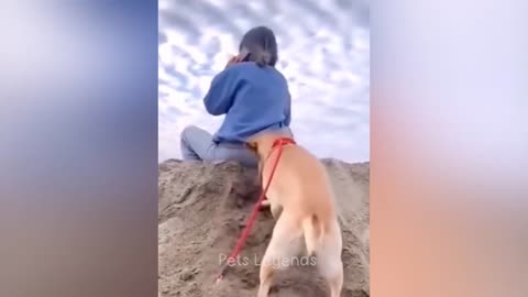 "Hilarious Animal Moments 2023 😂 Latest Amusing Cat and Dog Videos 😻🐶 Part 1"