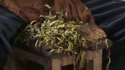 Cinnamon Making Process | Modern Ceylon Cinnamon Harvesting | How Ceylon Cinnamon Is Made