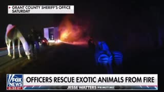 Officers rescue exotic animals from fire