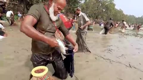 Awesome Traditional Fishing Festival Of Village And Mim Fish