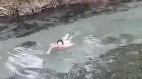 swimming in the stream, look at the snake!