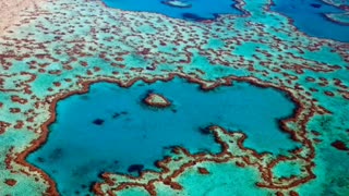Did you know? Great Barrier Reef, Queensland, Australia