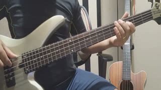 Luz - Banda Novo Som - cover: Domusical