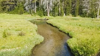 Day 3 East Fork Meadow