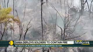 WION Fineprint | Wildfire continues to rage on Mount Kilimanjaro
