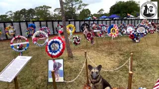 Tribute to a K9 Friend