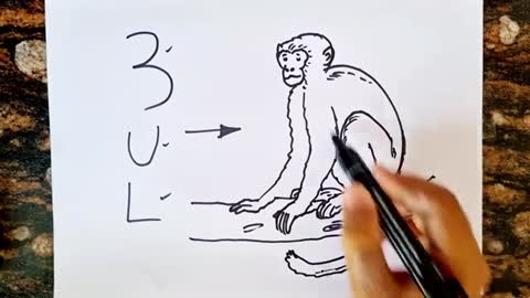 Turns into Monkey Drawing // Easy Monkey Drawing