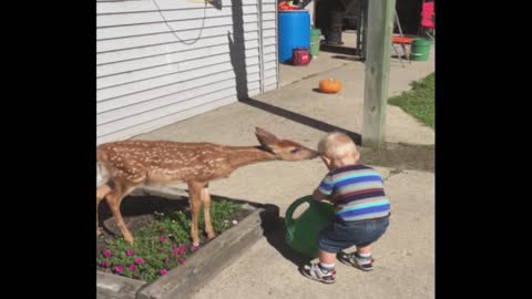 Baby Boy Has Playdate With Baby Deer