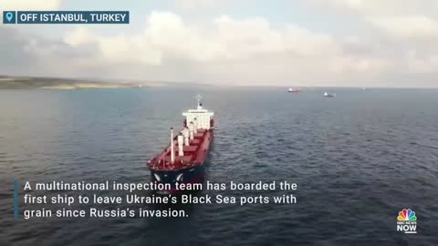 Ship Carrying Grain From Ukraine Stopped For Checks Off Istanbul