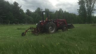 Mowing hay with an old sickle mower
