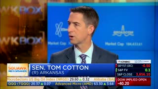 'There Is A Precedent For This': Tom Cotton Renews Call For Military Action Against Cartels