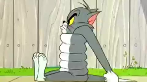 Tom and Jerry funny comedy episode