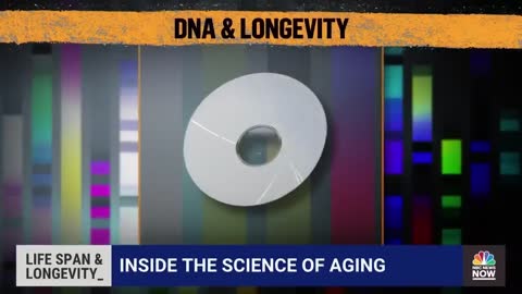 Researchers Say They Are Close To Reversing Aging