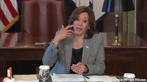 "IT'S TWO LETTERS": VP Kamala Harris Breaks Down Artificial Intelligence in Her Infinite Wisdom