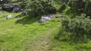 Walking up to Brent Tor Tavistock Devon England in June