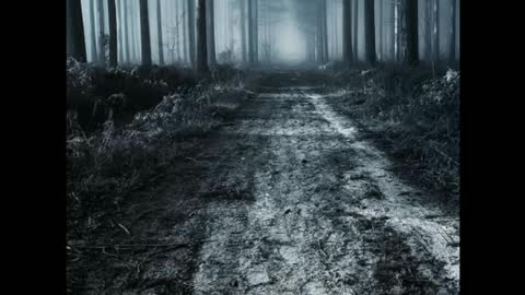 The Scary forest path of Ghost Town