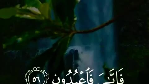 Abdul Rahman Mossad - Quran Tilawat - Islamic Whatsapp status - Beautiful recitation #Shorts 13