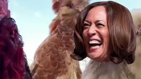 CHICKEN-MALA HARRIS!! 😂🤣🤣🤣 #ChickenMalaHarris