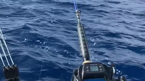 What do you think about fishing deep with electric reels?