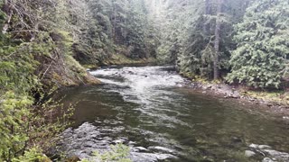 ADVENTURING IN A RAINFOREST RIVER PARADISE | SALMON RIVER | MOUNT HOOD | OREGON | 4K