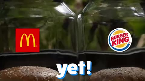 Which Burger Will Rot The Fastest | Mcdonal's vs Burger king