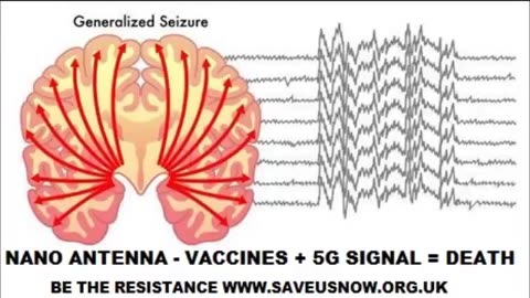 THE FIVE GEE SHOOT TO KILL GRID AND EXTERMINATION AGENDA