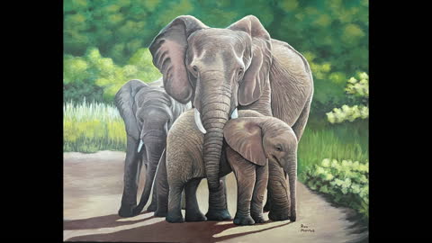 Elephants