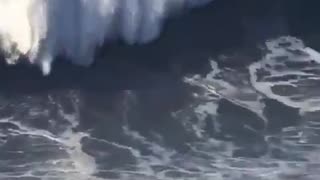 Surfing a 115 foot wave 🌊