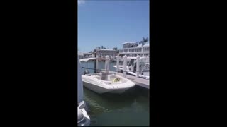 Boca Grande Florida Tour Part 2 Marine