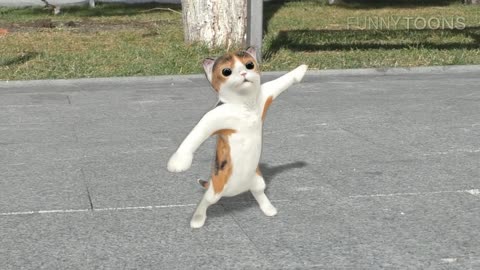 Dancing cats - part 2.#cat dance