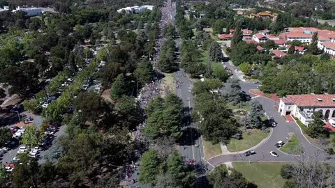 Drone Footage - Canberra Protest - 12/2/2022