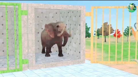 Animal 3D videos