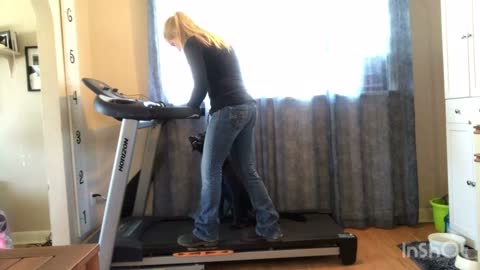 Teach your dog how to run on a treadmill!