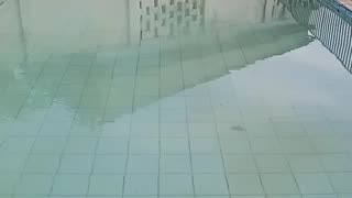 Reação química na piscina