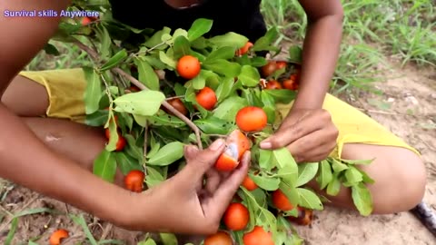 Survival skills: Finding Natural fruit tasty at Paddy fields - My favorite Natural fruit to eat