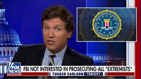 Tucker Carlson on the radical environmentalists who threw tomato soup on Vincent Van Gogh